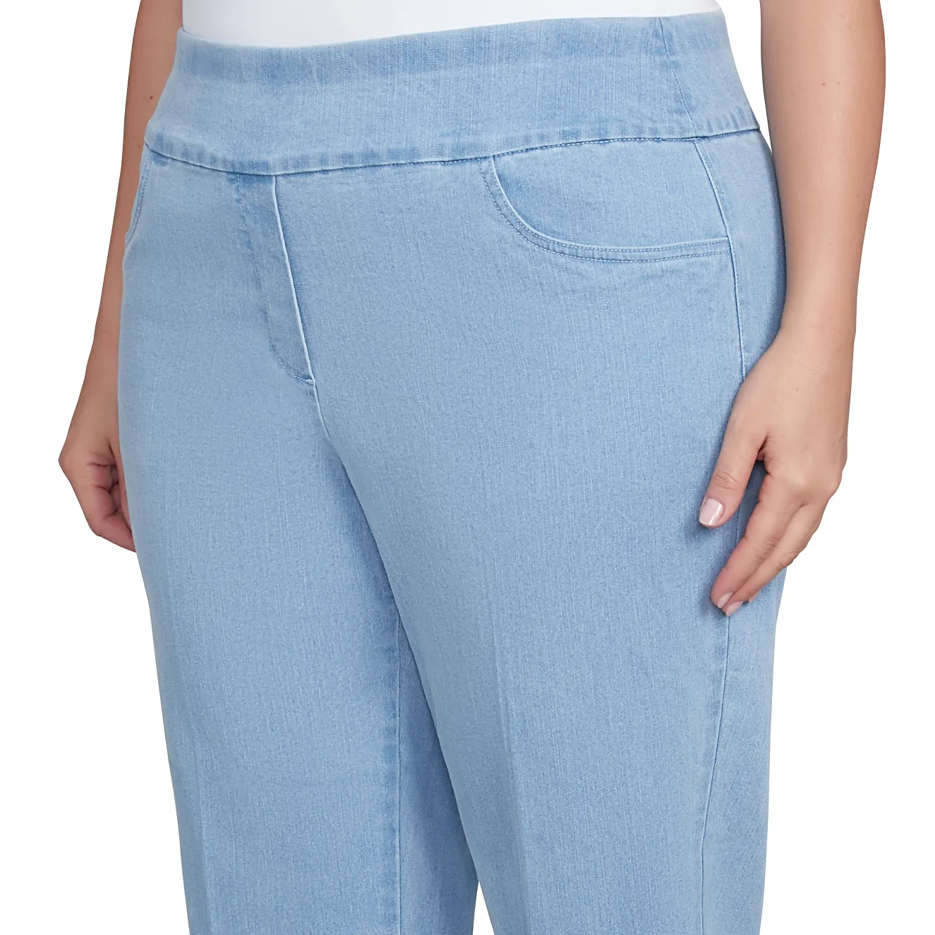 Alfred Dunner Super Stretch Mid-Rise Average Length Pant, Plus